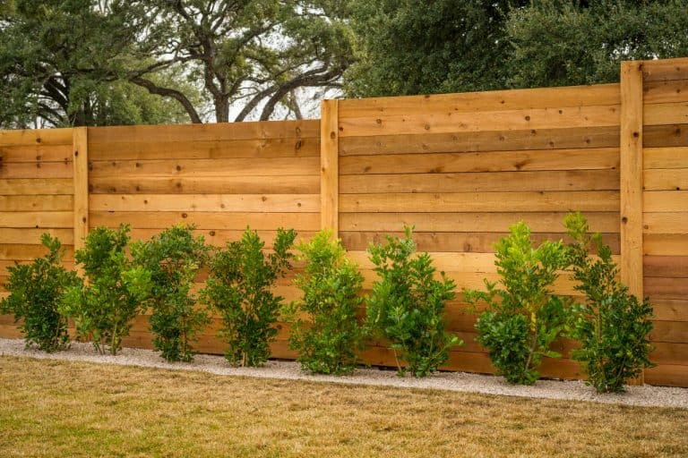 Fencing – The Best Backdrop For Stunning Landscaping