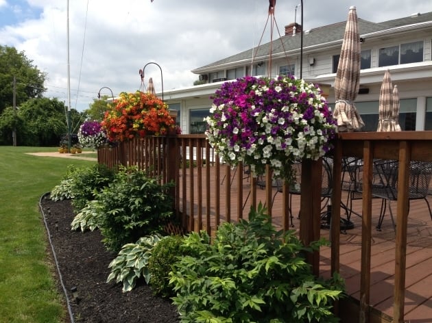 Best Backdrop For Stunning Landscaping, Landscaping Along A Fence Line