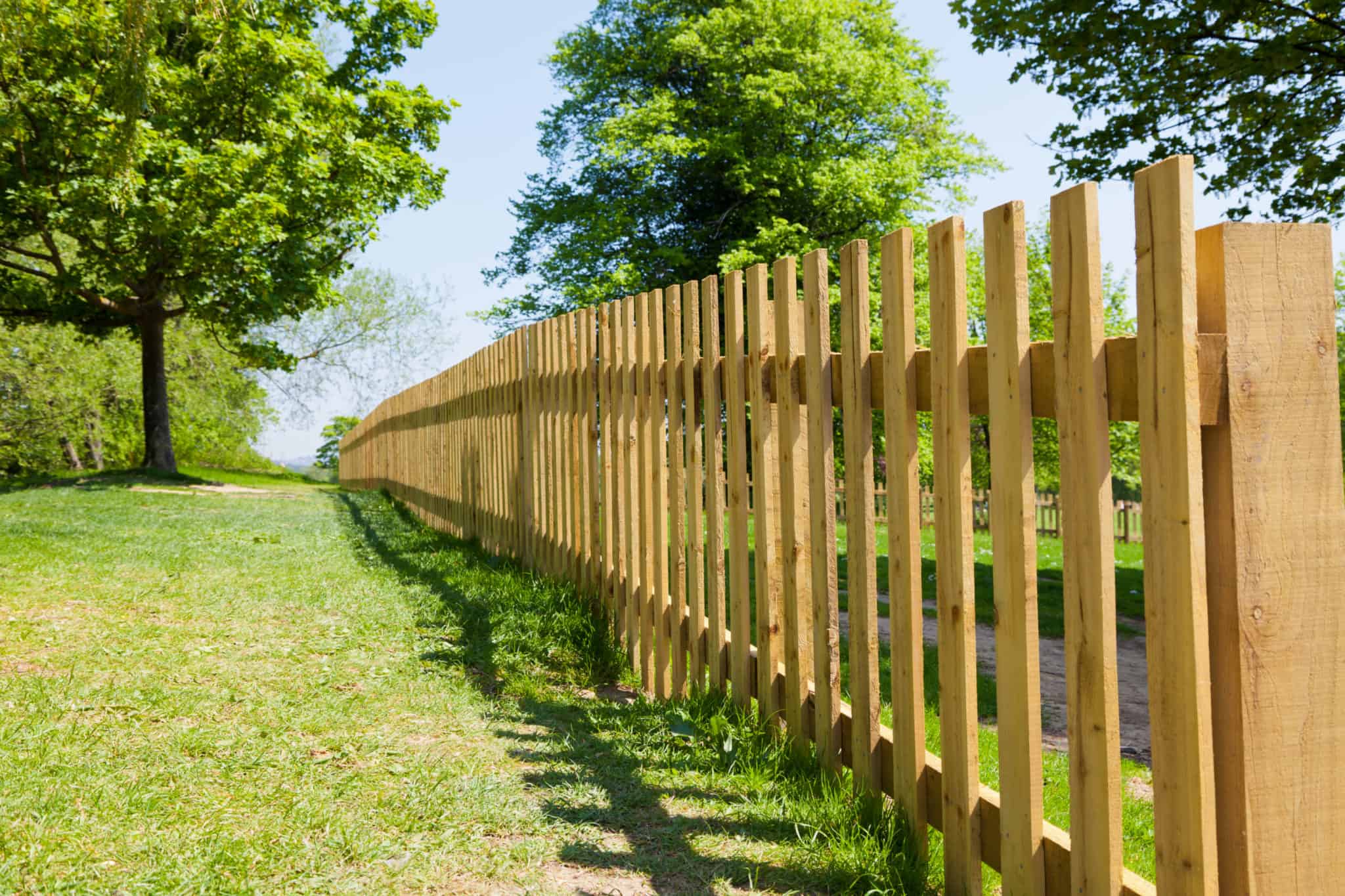 Сделать забор на даче цена. Паркан забор. Забор из дерева. Красивый забор. Ограждение участка.