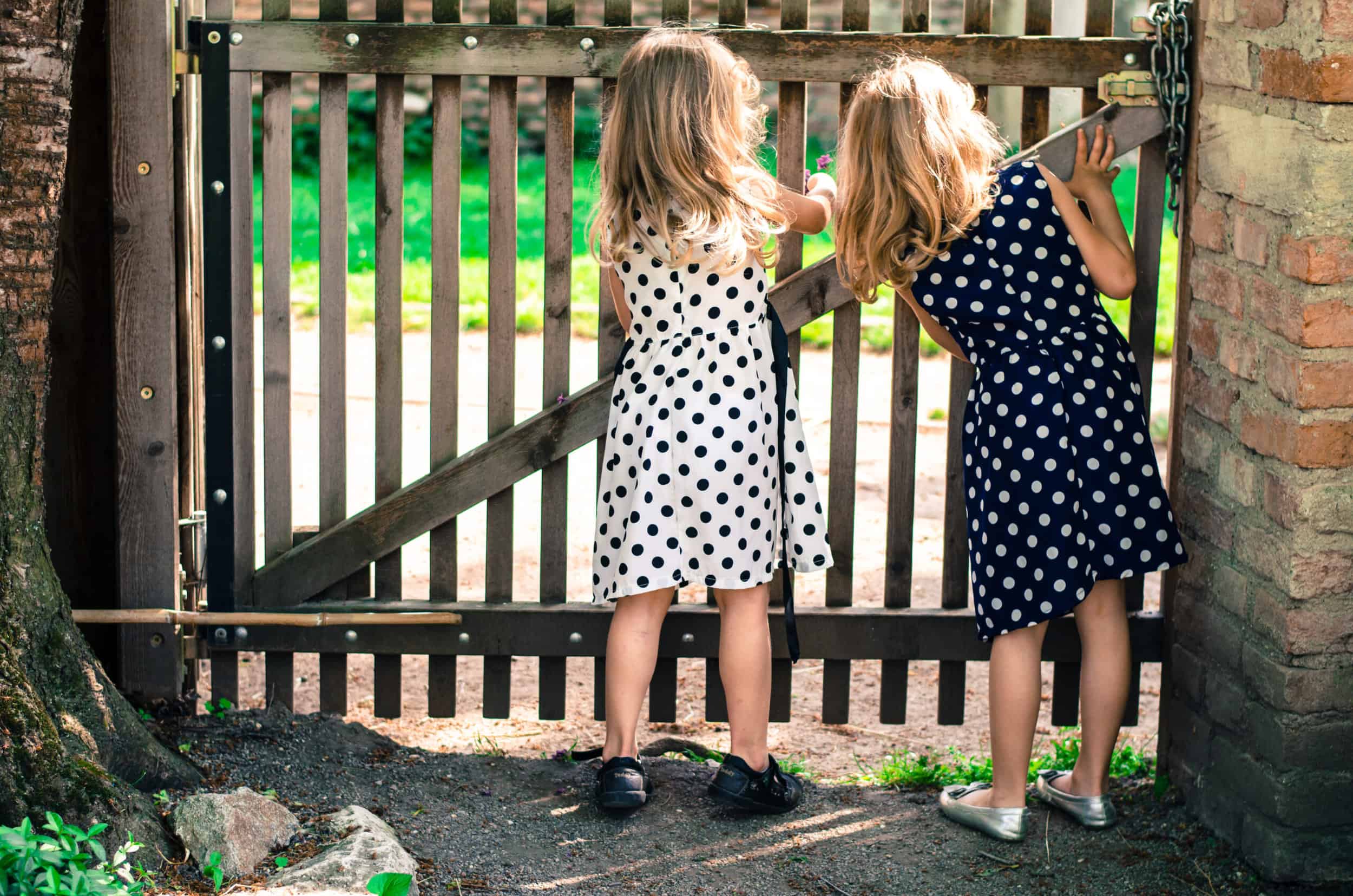 Child-safe Fencing: Balancing Security With Playful Design - Insights From Liberty Fence