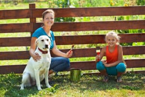 Child And Pet-friendly Fencing: Keeping Your Loved Ones Safe And Secure